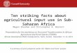 Ten striking facts about agricultural input use in Sub-Saharan Africa Megan Sheahan and Christopher B. Barrett Presentation for the workshop on Structural