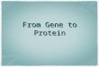 From Gene to Protein. Genes code for... Proteins RNAs