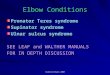 Elbow Conditions Pronator Teres syndrome Supinator syndrome Ulnar sulcus syndrome SEE LEAF and WALTHER MANUALS FOR IN DEPTH DISCUSSION ©Zatkin/Stark 2007
