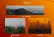 Smog Los Angeles PittsburghDallas. Causes of Smog Smog is caused by: Smoke Particles Ozone NO 2 Many others