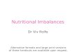 Nutritional Imbalances Dr Viv Rolfe Alternative formats and large print versions of these handouts are available upon request