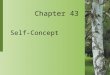 Chapter 43 Self-Concept. 43-2 Copyright 2004 by Delmar Learning, a division of Thomson Learning, Inc. Self-Concept  Self-concept is an individual’s perception