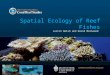 Spatial Ecology of Reef Fishes Justin Welsh and David Bellwood