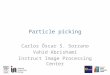 Particle picking Carlos Óscar S. Sorzano Vahid Abrishami Instruct Image Processing Center