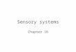 Sensory systems Chapter 16. Ear anatomy 3 major areas of ear: 1) outer ear - pinna – directs sound waves toward auditory canal - external auditory canal