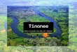Tinonee jlow11/ Manning River (n.d.). Source: Midcoast Property Central