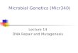 Microbial Genetics (Micr340) Lecture 14 DNA Repair and Mutagenesis
