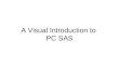 A Visual Introduction to PC SAS. Start SAS by double-clicking on the SAS icon