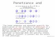 MCB140 09-17-07 1 Penetrance and expressivity “The terms penetrance and expressivity quantify the modification of the influence on phenotype of a particular