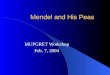 Mendel and His Peas MUPGRET Workshop Feb. 7, 2004