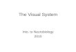 The Visual System Into. to Neurobiology 2010. The Retina PHOTORECEPTORS  BIPOLAR CELLS  GANGION CELLS