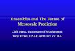 Ensembles and The Future of Mesoscale Prediction Cliff Mass, University of Washington Tony Eckel, USAF and Univ. of WA