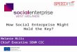 How Social Enterprise Might Hold the Key? Melanie Mills Chief Executive SEWM CIC