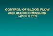 CONTROL OF BLOOD FLOW AND BLOOD PRESSURE (Lectures 3b and 4) 63