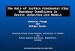 The Role of Surface Freshwater Flux Boundary Conditions in Arctic Ocean/Sea-Ice Models EGU General Assembly, Nice, April 2004 Matthias Prange and Rüdiger