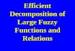 Efficient Decomposition of Large Fuzzy Functions and Relations