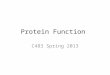Protein Function C483 Spring 2013. Function Transport (binding) Structure Motor Catalysis (binding) Immunity (binding) Regulation (binding) Signaling