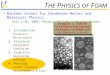 T HE P HYSICS OF F OAM Boulder School for Condensed Matter and Materials Physics July 1-26, 2002: Physics of Soft Condensed Matter 1. Introduction Formation