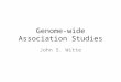 Genome-wide Association Studies John S. Witte. Association Studies Hirschhorn & Daly, Nat Rev Genet 2005 Candidate Gene or GWAS
