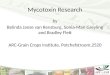 Mycotoxin Research by Belinda Janse van Rensburg, Sonia-Mari Greyling and Bradley Flett ARC-Grain Crops Institute, Potchefstroom,2520