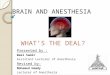 BRAIN AND ANESTHESIA WHAT’S THE DEAL? Presented by : Wael Samir Assistant Lecturer of Anesthesia Revised by: Mohamed Hamdy Lecturer of Anesthesia