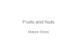 Fruits and Nuts Mature Ovary. Biology What is the difference between fruit and vegetable????? Mature ripened ovary along with its contents and any adhering