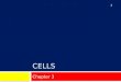 CELLS Chapter 3 1. NINE IMPORTANT LANDMARKS DISTINGUISH EUKARYOTIC CELLS 2