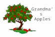 Grandma’s Apples. Problem: Which apple contains the most seeds?