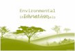 Environmental Education Shanna Mastrangelo. Environmental Education is a lifelong process with the objective to develop students’ Environmental awareness