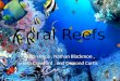 Coral Reefs By Dustin Price, Nathan Blackmon, Josh Crawford, and Osmond Curtis