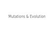 Mutations & Evolution. Fig. 14-1 Point Mutations