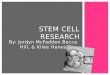 By: Jordyn McFadden Becca Hill, & Kilee Hanes STEM CELL RESEARCH
