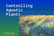 Controlling Aquatic Plants. When left uncontrolled, aquatic plants Impair recreational uses Cause foul odors and bad taste to drinking water Cause fish