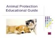 Animal Protection Educational Guide. Content Universal Declaration of Animal Rights – page 1 Universal Declaration of Animal Rights – page 2 Dogs: brushing,