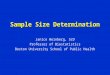 Sample Size Determination Janice Weinberg, ScD Professor of Biostatistics Boston University School of Public Health