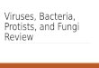 Viruses, Bacteria, Protists, and Fungi Review. What is an antibiotic? Medicine used to treat bacterial diseases