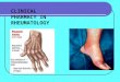 CLINICAL PHARMACY IN RHEUMATOLOGY. BASIC QUESTIONS Clinical pharmacology of nonsteroidal anti-inflammatory drugs Clinical pharmacology of glucocorticoids