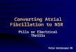 Converting Atrial Fibrillation to NSR Pills or Electrical Thrills Peter Holzberger MD