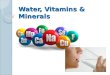 Water, Vitamins & Minerals. Vitamins Certain vitamins and minerals are needed for the body to function. ◦ 13 vitamins ◦ 22 minerals Two types of vitamins