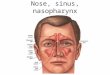 Nose, sinus, nasopharynx Dr K Outhoff. Contents Allergic Rhinitis Nasal furunculosis Epistaxis Local anaesthetic drugs Rhinosinusitis – Viral – Bacterial