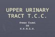 UPPER URINARY TRACT T.C.C. Anwar Esawi R4K.K.N.G.H
