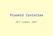 Plasmid Isolation RET Summer 2007. Overall Picture Plasmid Isolation Remove plasmid pBS 60.6 from DH  E. coli