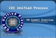 PM Summit Overview  Daniel Vitek MBA, PMP – Consultant to CDC