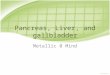 Pancreas, Liver, and gallbladder Metallic 0 Mind