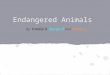 Endangered Animals By: Frankie D, Margie D and Allison R