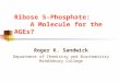 Ribose 5-Phosphate: A Molecule for the AGEs? Roger K. Sandwick Department of Chemistry and Biochemistry Middlebury College
