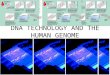 DNA TECHNOLOGY AND THE HUMAN GENOME. MOST DNA TECHNOLOGY IS NATURALLY OCCURING PHENOMENA THAT WE MANIPULATE TO SERVE OUR CURIOUSITY AND INTEREST – BACTERIAL