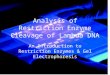 Analysis of Restriction Enzyme Cleavage of Lambda DNA An Introduction to Restriction Enzymes & Gel Electrophoresis