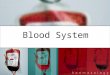 Blood System. Blood Vessels Three major types of blood vessels: arteries, capillaries, and veins. Arteries (arteri/o) large blood vessels that carry oxygen