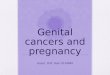 Genital cancers and pregnancy Assoc. Prof. Gazi YILDIRIM